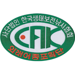 ǰ 