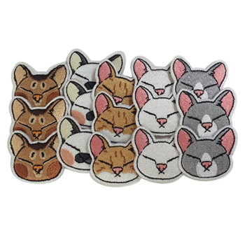 ��ǰ ������