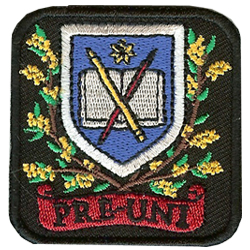 ��ǰ ������